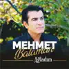 Mehmet Balaman - Ağladım - Single
